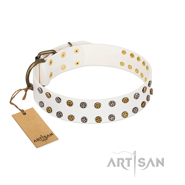 Inimitable full grain genuine leather dog collar with rust resistant studs
