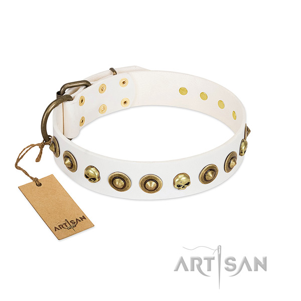 Natural leather collar with awesome adornments for your doggie