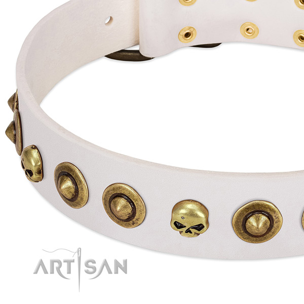 Unusual studs on leather collar for your four-legged friend