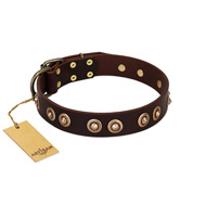 "Woofy Art" FDT Artisan Brown Leather Dogue de Bordeaux Collar Adorned with Old Bronze-like Studs