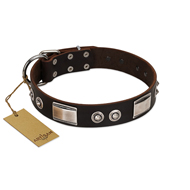 "Baller Status" FDT Artisan Brown Leather Dogue de Bordeaux Collar Adorned with a Set of Chrome Plated Studs and Plates