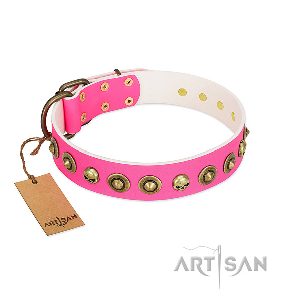 Stunning full grain genuine leather dog collar with corrosion proof adornments
