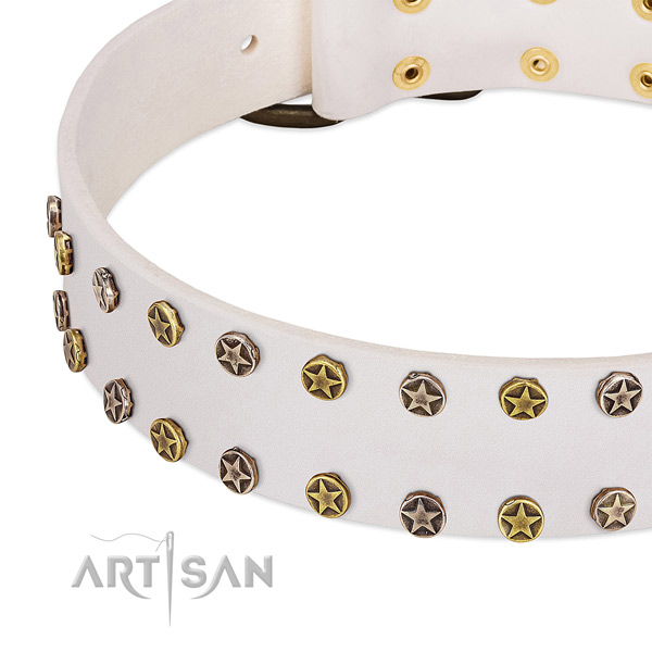 Impressive studs on leather collar for your dog