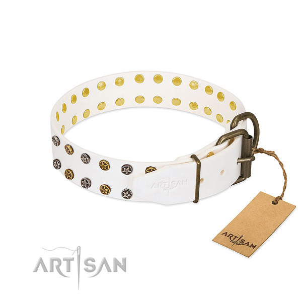 Significant natural leather dog collar with rust-proof studs