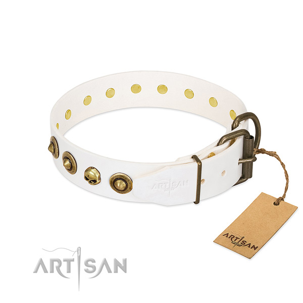 Natural leather collar with exquisite decorations for your dog