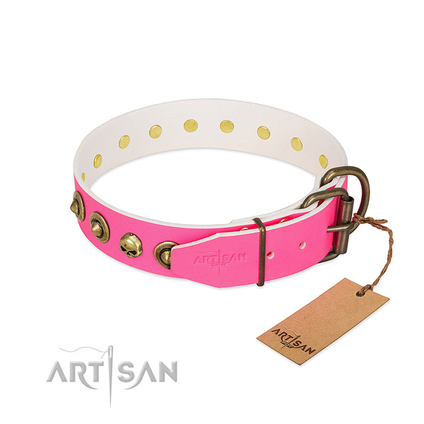 Leather collar with significant adornments for your pet