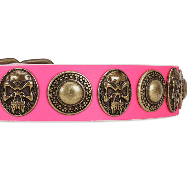 Durable embellishments on leather dog collar for your doggie