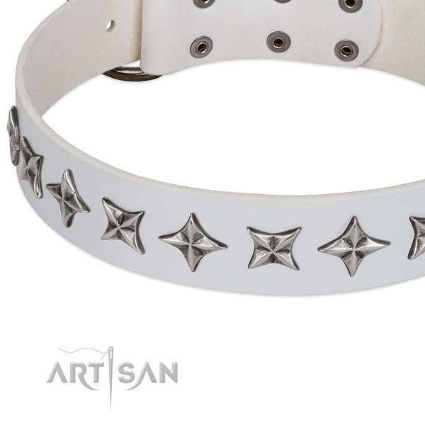 Easy wearing adorned dog collar of quality natural leather