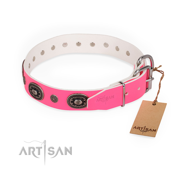 Everyday use stylish dog collar with corrosion proof buckle