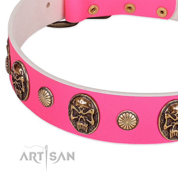 Corrosion resistant studs on full grain natural leather dog collar for your dog