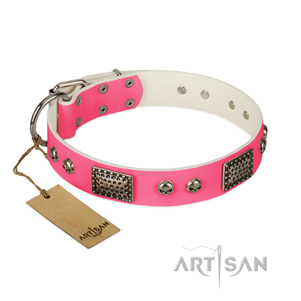 Easy to adjust full grain genuine leather dog collar for stylish walking your pet