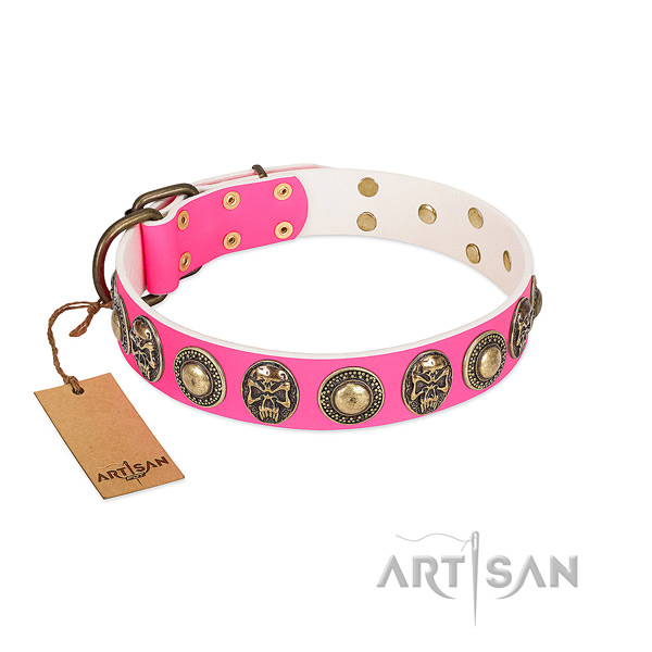 Adjustable genuine leather dog collar for everyday walking your canine