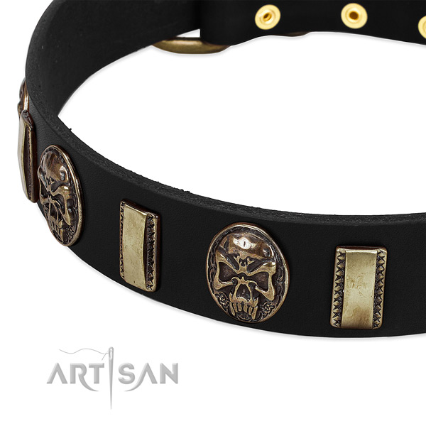 Corrosion resistant buckle on natural genuine leather dog collar for your pet
