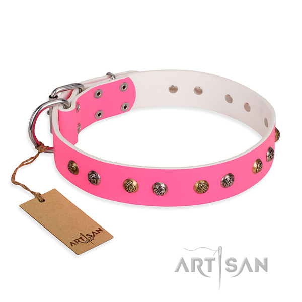 Comfy wearing easy to adjust dog collar with strong traditional buckle