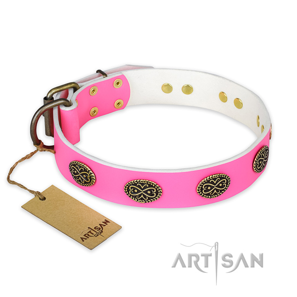 Amazing full grain natural leather dog collar for daily use