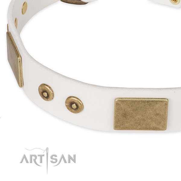 Durable decorations on full grain natural leather dog collar for your pet