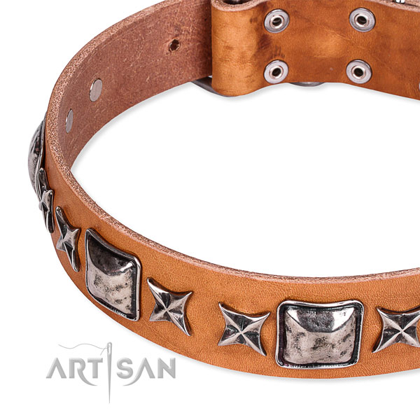 Everyday walking embellished dog collar of top notch full grain genuine leather