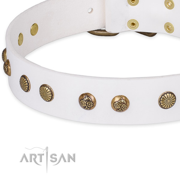 Full grain genuine leather collar with reliable hardware for your attractive doggie