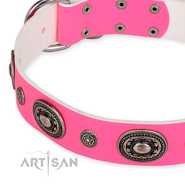 Natural genuine leather dog collar with remarkable rust-proof studs