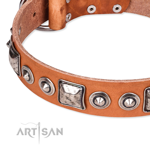 High quality genuine leather dog collar created for your attractive four-legged friend