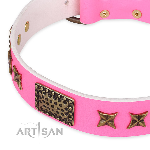 Full grain genuine leather collar with reliable hardware for your attractive four-legged friend