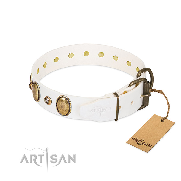 Stylish walking full grain natural leather dog collar