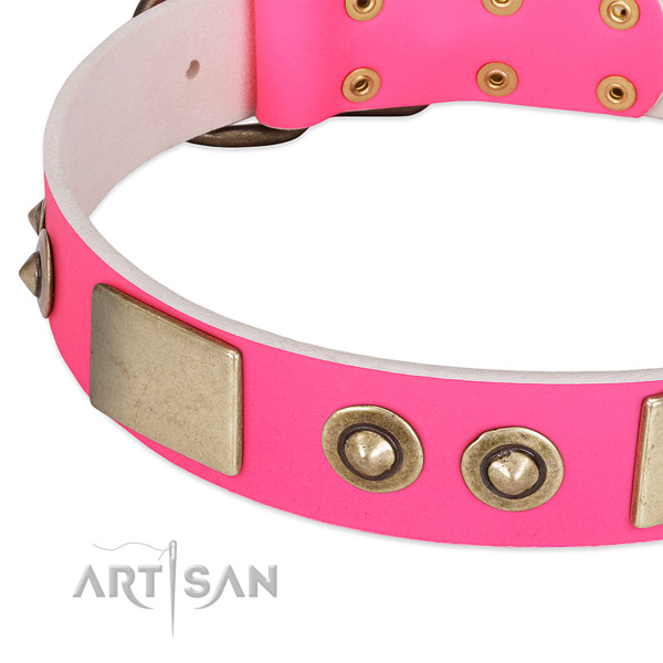 Reliable traditional buckle on genuine leather dog collar for your canine