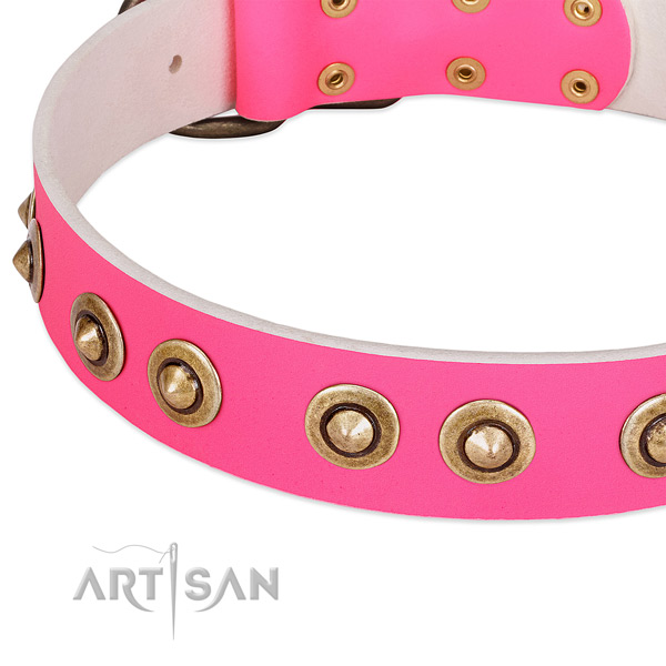 Durable D-ring on genuine leather dog collar for your dog