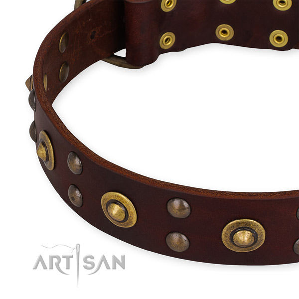 Full grain natural leather collar with corrosion proof D-ring for your beautiful pet