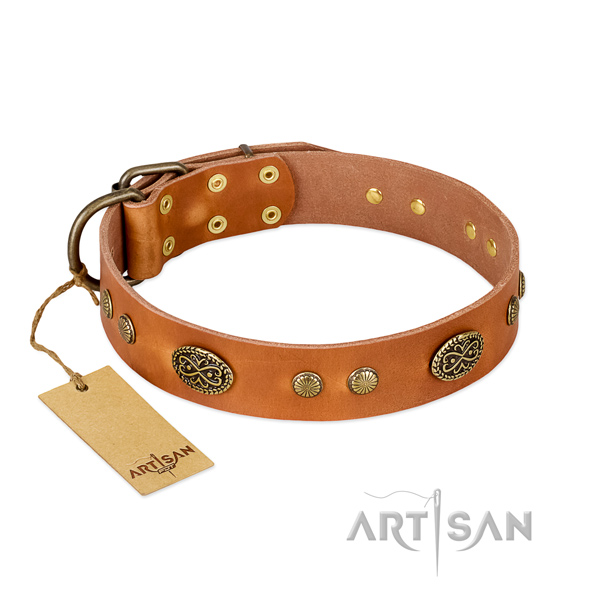 Corrosion resistant buckle on full grain natural leather dog collar for your dog
