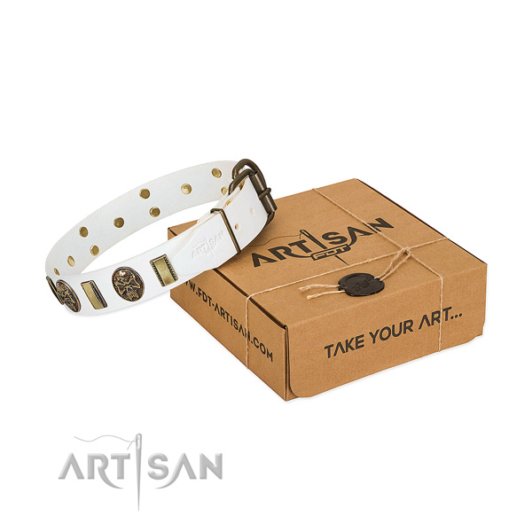 Strong fittings on full grain natural leather dog collar for basic training