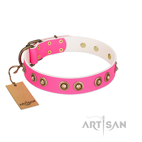 Embellished leather dog collar for everyday walking