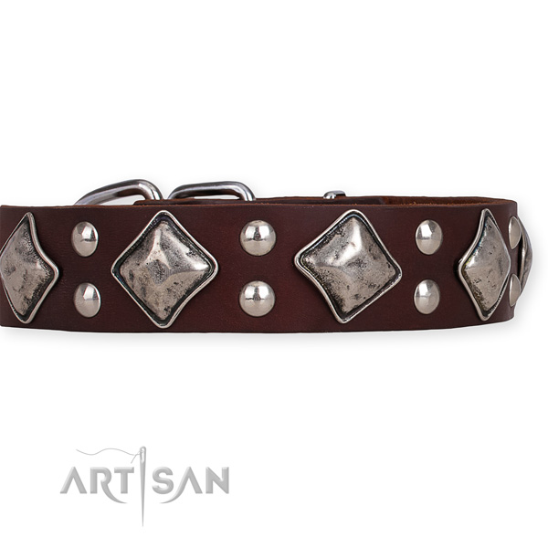 Leather dog collar with stylish design strong studs