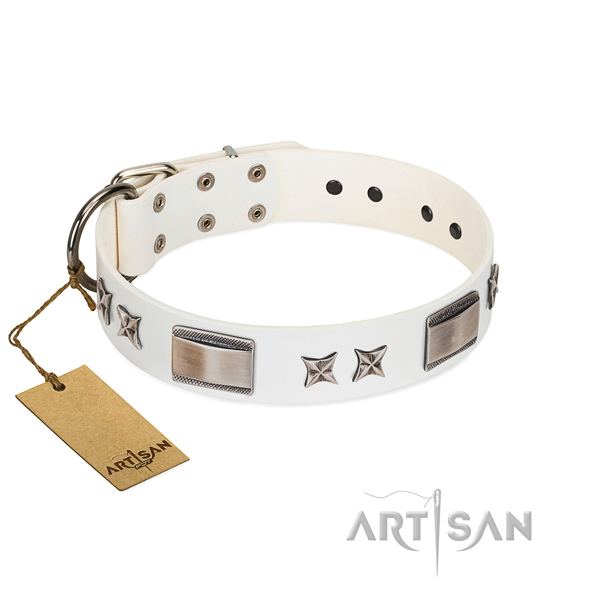 Impressive dog collar of leather