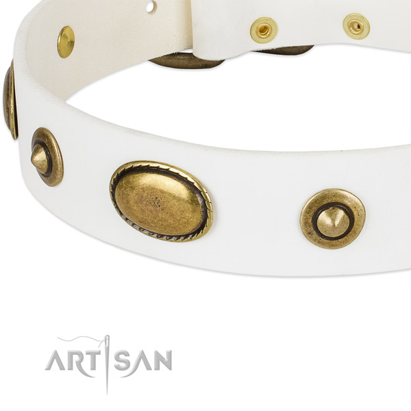 Strong adornments on leather dog collar for your doggie