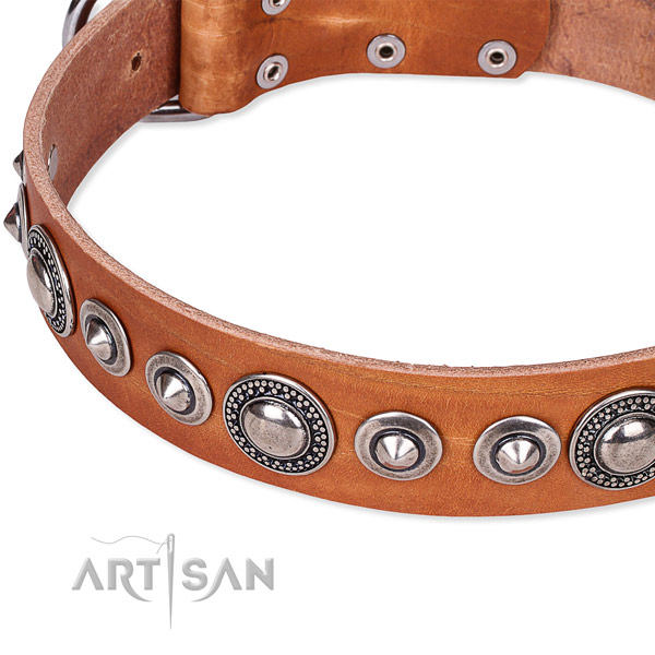 Daily use adorned dog collar of finest quality full grain natural leather