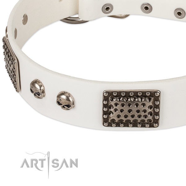 Rust resistant decorations on full grain natural leather dog collar for your pet