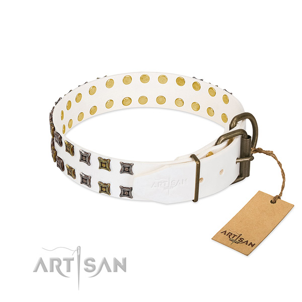 Full grain natural leather collar with unique decorations for your four-legged friend