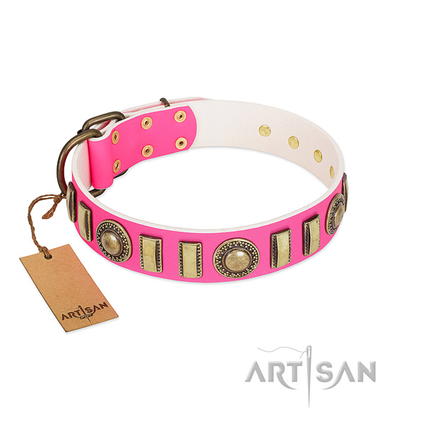 Exquisite full grain genuine leather dog collar with rust resistant fittings