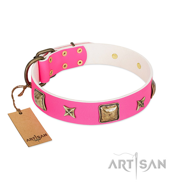 Full grain leather dog collar of reliable material with fashionable embellishments