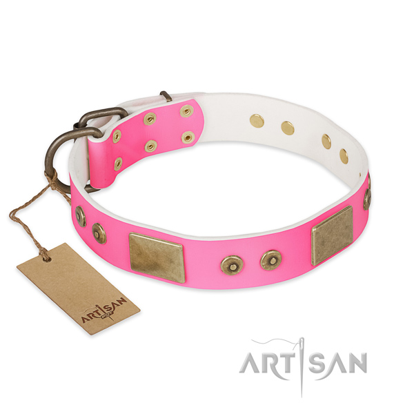 Easy wearing natural genuine leather dog collar for basic training your dog