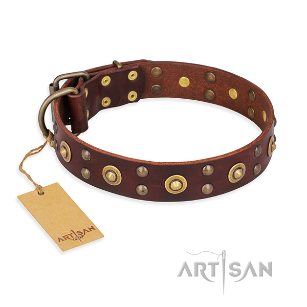 Stylish genuine leather dog collar with strong traditional buckle