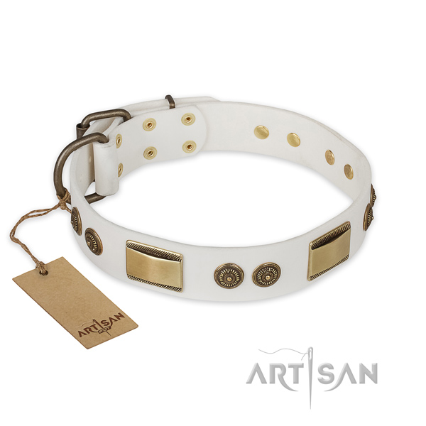 Remarkable full grain leather dog collar for everyday walking