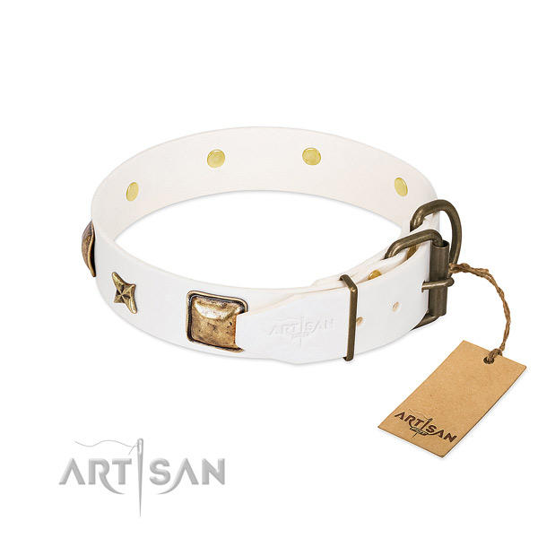 Leather dog collar with rust resistant hardware and embellishments
