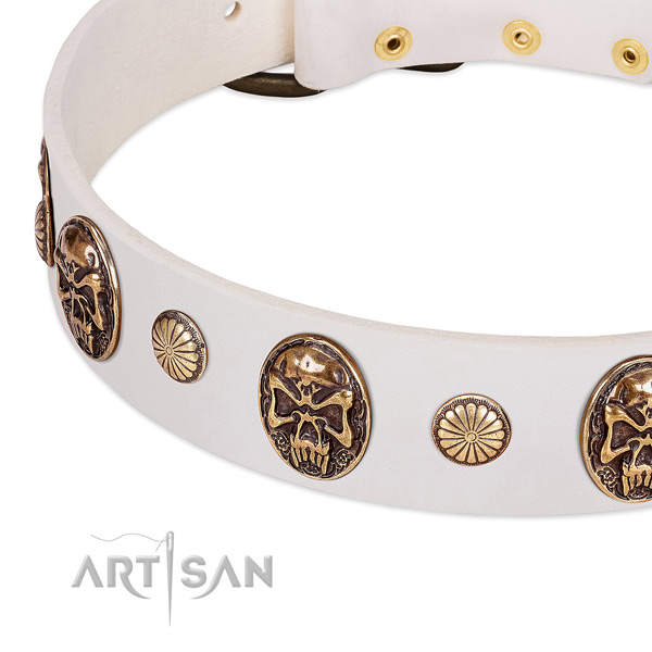 Durable studs on full grain leather dog collar for your dog