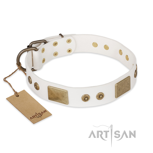 Comfortable leather dog collar for comfy wearing
