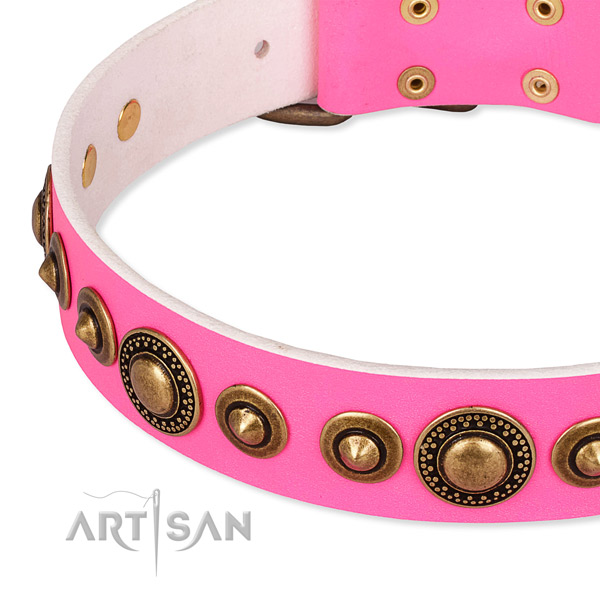 Reliable genuine leather dog collar created for your handsome four-legged friend