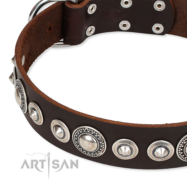 Stylish walking studded dog collar of reliable full grain leather