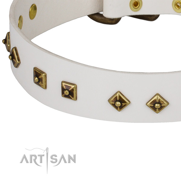Studded full grain natural leather collar for your stylish doggie