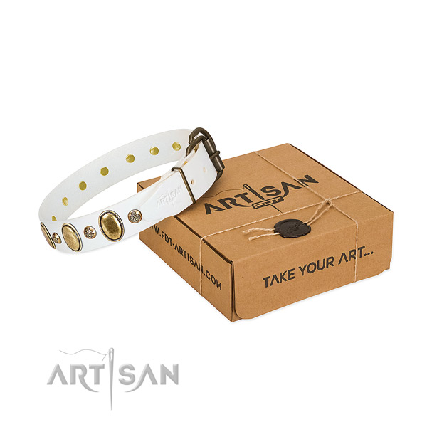 Studded full grain leather dog collar with rust-proof hardware